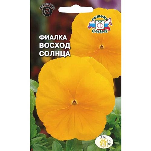 Виола Восход солнца Седек изображение 1 артикул 93700