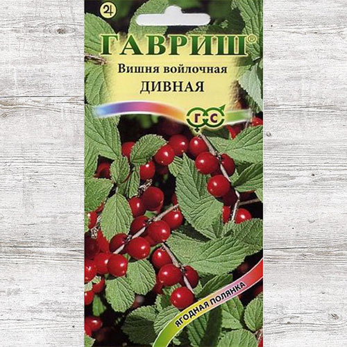 Вишня Дивная (войлочная) Гавриш артикул фото 1 Вишня Дивная (войлочная) Гавриш изображение 1 артикул 85028