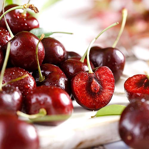 Вишня Лада изображение 1 артикул 4168