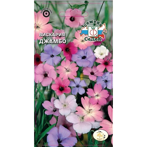 Вискария Джамбо, смесь окрасок Седек изображение 1 артикул 93715