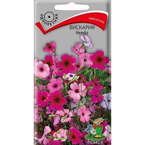 Вискария Нимфа, смесь окрасок Поиск изображение 1 артикул 92928