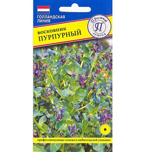 Восковник Пурпурный Престиж изображение 1 артикул 73628