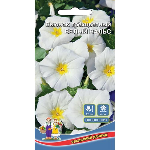 Вьюнок трехцветный Белый вальс Уральский дачник изображение 1 артикул 94769
