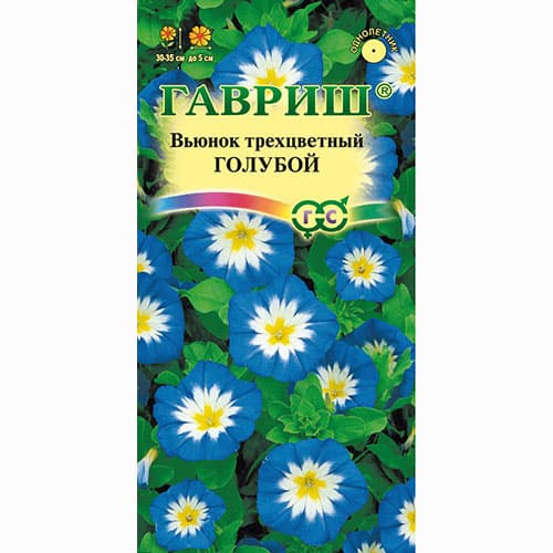 Вьюнок трехцветный Голубой Гавриш изображение 1 артикул 65946