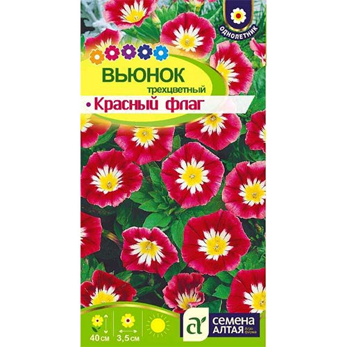 Вьюнок трехцветный Красный флаг Семена Алтая изображение 1 артикул 94147