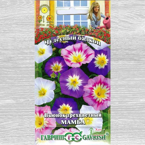 Вьюнок трехцветный Мамба, смесь окрасок Гавриш изображение 1 артикул 73823
