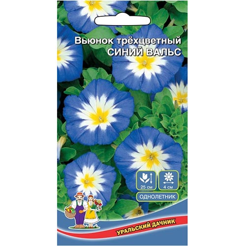 Вьюнок трехцветный Синий вальс Уральский дачник изображение 1 артикул 94771