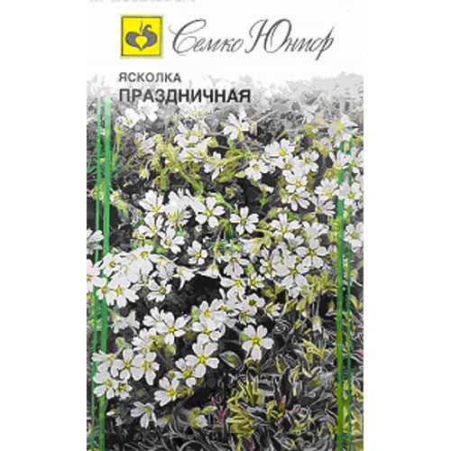 Ясколка Праздничная Семко изображение 1 артикул 94303