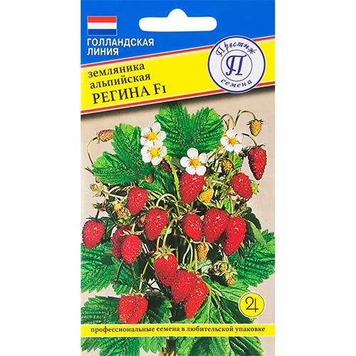 Земляника альпийская Регина F1 Престиж артикул фото 1 Земляника альпийская Регина F1 Престиж изображение 1 артикул 81108