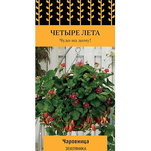 Земляника Чаровница Поиск изображение 1 артикул 74909