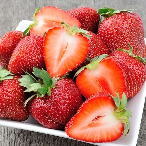 Земляника (крупноплодная) Богота изображение 1 артикул 8083