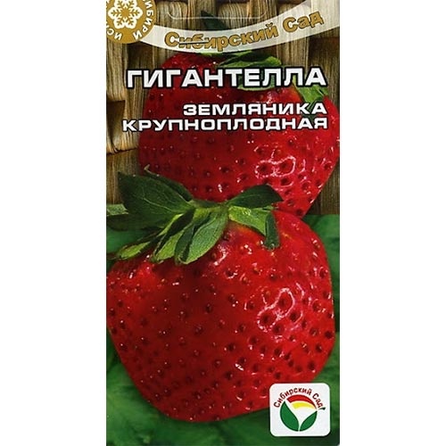 Земляника (крупноплодная) Гигантелла Сибирский сад артикул фото 1 Земляника (крупноплодная) Гигантелла Сибирский сад изображение 1 артикул 65231