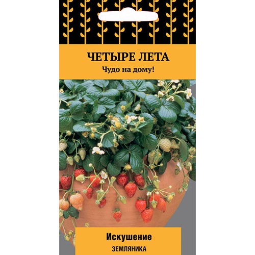 Земляника ампельная ремонтантная Искушение Поиск изображение 1 артикул 65269