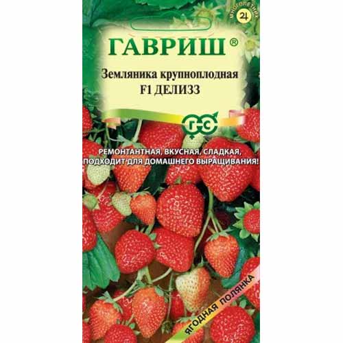 Земляника ремонтантная (крупноплодная) Делизз Гавриш изображение 1 артикул 87978