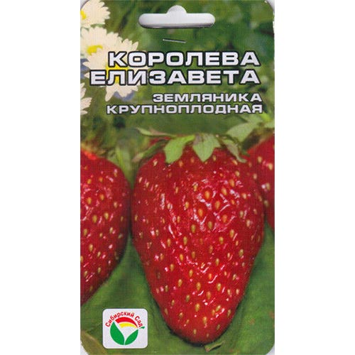 Земляника ремонтантная (крупноплодная) Королева Елизавета Сибирский сад артикул фото 1 Земляника ремонтантная (крупноплодная) Королева Елизавета Сибирский сад изображение 1 артикул 65230