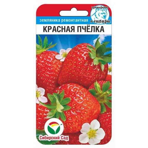 Земляника ремонтантная (крупноплодная) Красная пчелка Сибирский сад артикул фото 1 Земляника ремонтантная (крупноплодная) Красная пчелка Сибирский сад изображение 1 артикул 88110