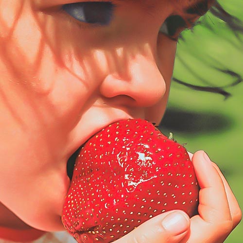 Земляника (крупноплодная) Гигантелла артикул фото 1 Земляника (крупноплодная) Гигантелла изображение 1 артикул 9812