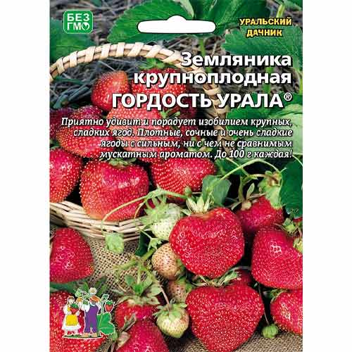 Земляника крупноплодная Гордость Урала Уральский дачник артикул фото 1 Земляника крупноплодная Гордость Урала Уральский дачник изображение 1 артикул 94502