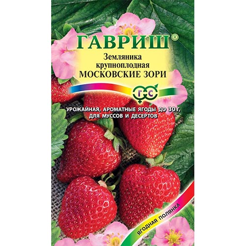 Земляника крупноплодная Московские зори Гавриш изображение 1 артикул 91679