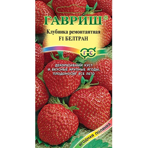 Земляника крупноплодная ремонтантная Белтран F1 Гавриш изображение 1 артикул 91681