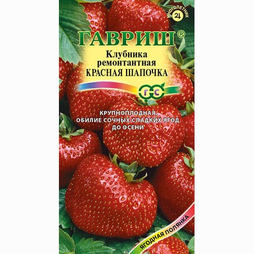 Земляника крупноплодная ремонтантная Красная шапочка Гавриш изображение 1 артикул 91683