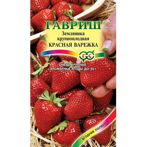 Земляника крупноплодная ремонтантная Красная варежка Гавриш изображение 1 артикул 91682