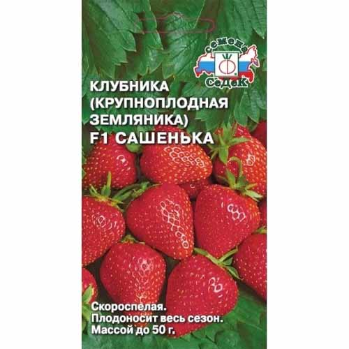 Земляника ремонтантная (крупноплодная) Сашенька F1 Седек артикул фото 1 Земляника ремонтантная (крупноплодная) Сашенька F1 Седек изображение 1 артикул 40457