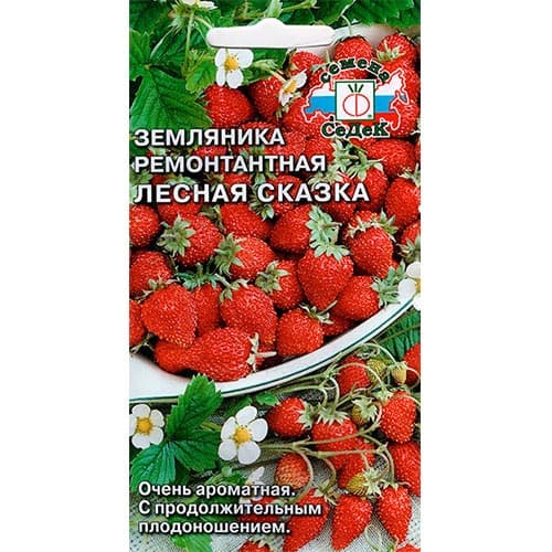 Земляника мелкоплодная ремонтантная Лесная Сказка Седек изображение 1 артикул 93324