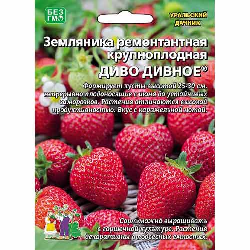 Земляника ремонтантная крупноплодная Диво дивное Уральский дачник артикул фото 1 Земляника ремонтантная крупноплодная Диво дивное Уральский дачник изображение 1 артикул 97129