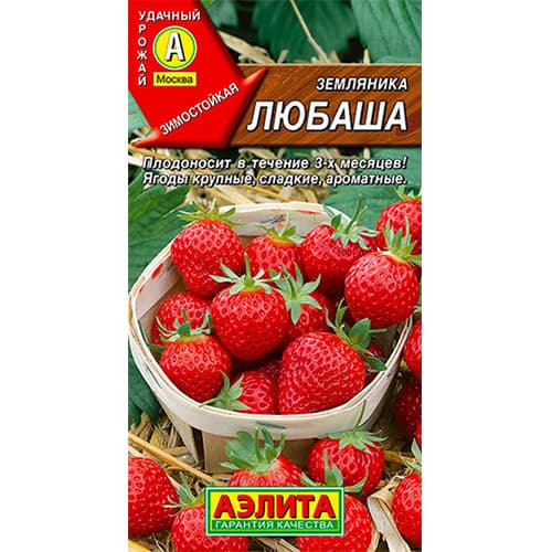 Земляника ремонтантная (крупноплодная) Любаша Аэлита артикул фото 1 Земляника ремонтантная (крупноплодная) Любаша Аэлита изображение 1 артикул 98236