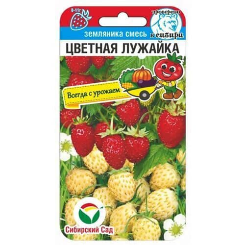 Земляника ремонтантная мелкоплодная Цветная лужайка, смесь сортов Сибирский сад артикул фото 1 Земляника ремонтантная мелкоплодная Цветная лужайка, смесь сортов Сибирский сад изображение 1 артикул 98175