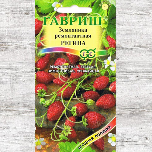 Земляника ремонтантная Регина Гавриш изображение 1 артикул 65241