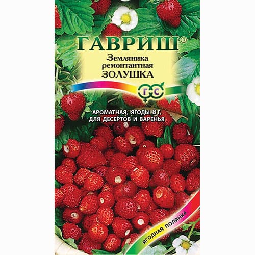 Земляника мелкоплодная ремонтантная Золушка Гавриш артикул фото 1 Земляника мелкоплодная ремонтантная Золушка Гавриш изображение 1 артикул 65240