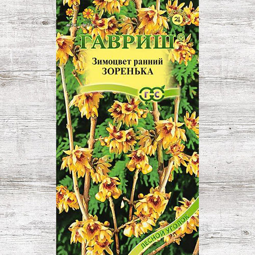 Зимоцвет ранний Зоренька Гавриш изображение 1 артикул 71180