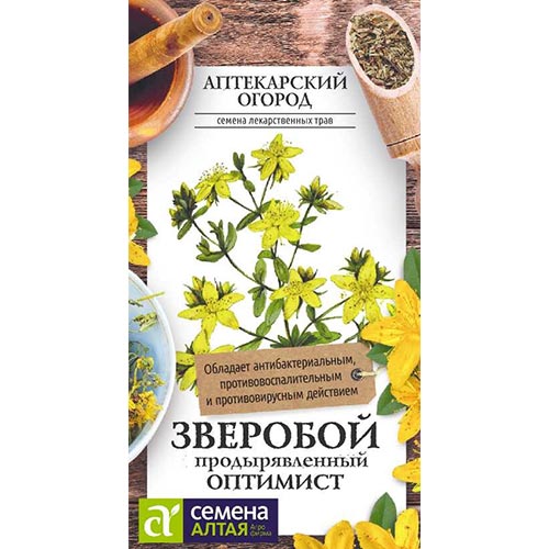 Зверобой Оптимист Семена Алтая артикул фото 1 Зверобой Оптимист Семена Алтая изображение 1 артикул 81468