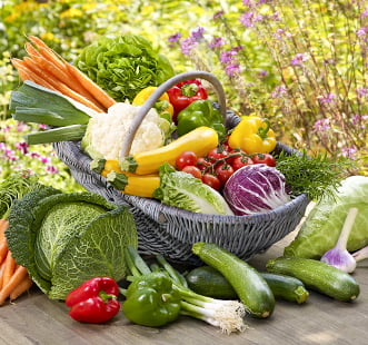 Семена овощей