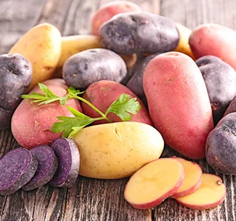 Семенной картофель