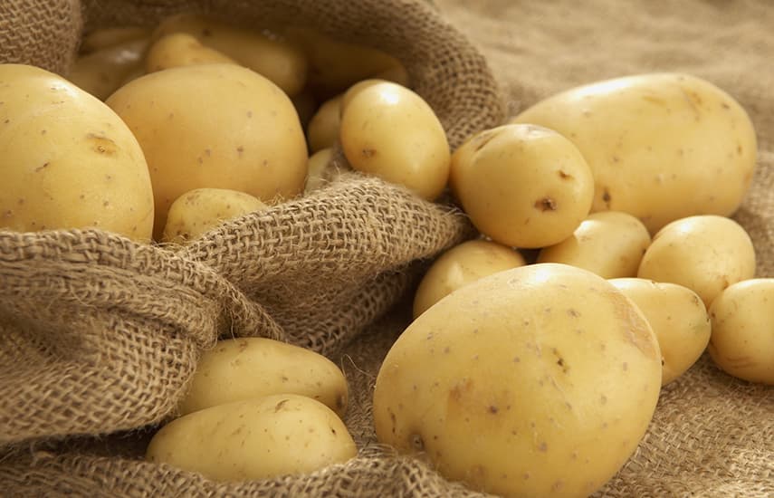 Желтый картофель - лучшие сорта