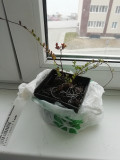 upload_img1