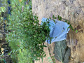 upload_img1