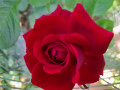 upload_img1