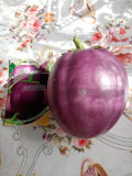 upload_img1