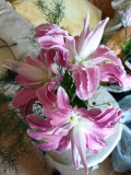 upload_img1