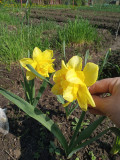 upload_img1