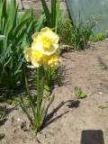 upload_img1