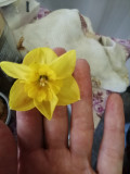 upload_img1