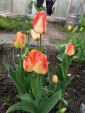 upload_img1