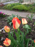 upload_img1
