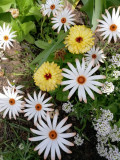 upload_img1