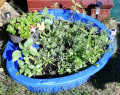 upload_img1